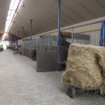 Dies ist unser Stall in einer Innenaufnahme