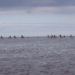 DSCF8275