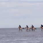DSCF8278