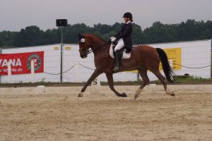 DSCF8907