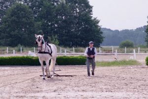 DSCF9913